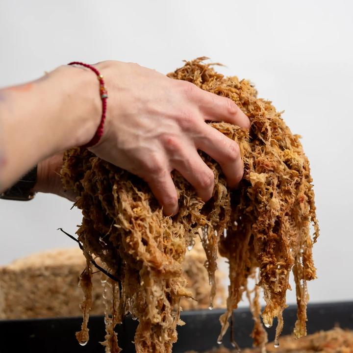 Produktbild Besgrow Spagnum-Moos (8 l)