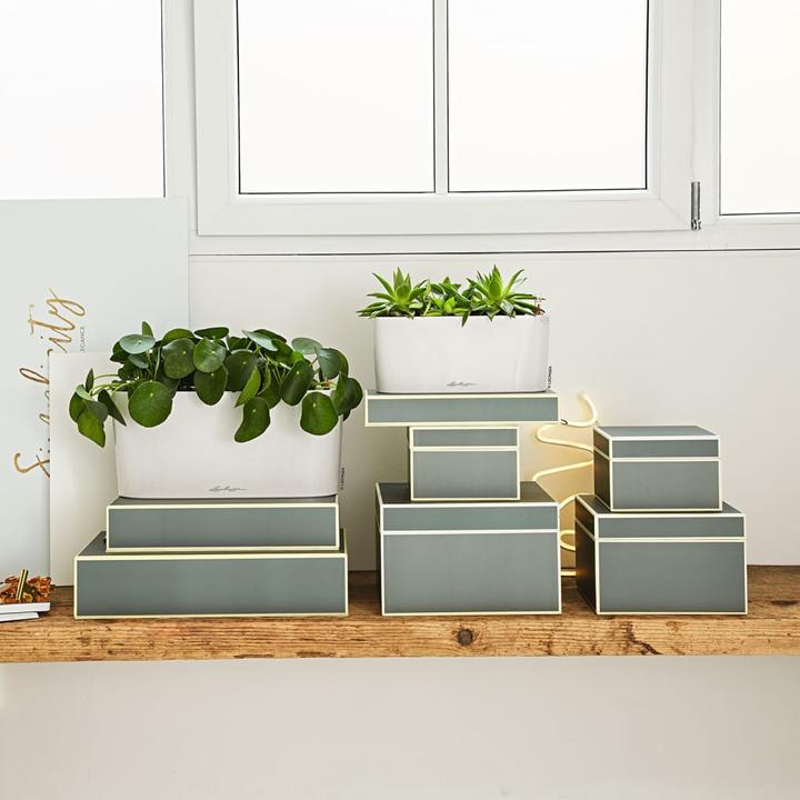 Produktbild Lechuza Delta (30 x 11 x 13 cm)