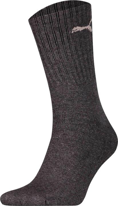 Actual product image Puma Sport Socks (pack of 3, 39 - 42)