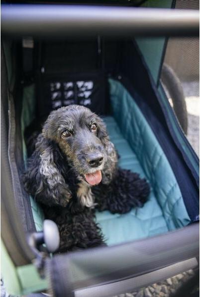 Actual product image Thule Bexey M