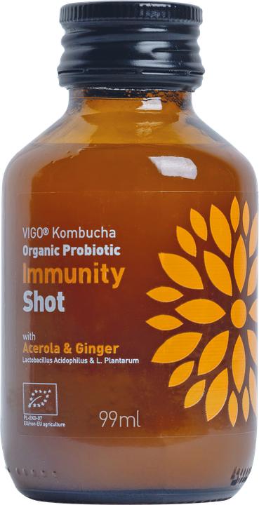 Vigo Kombucha Shot Immunität (12 x 10 cl)