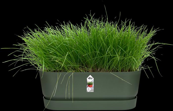 Actual product image Elho Greenville (20 cm)
