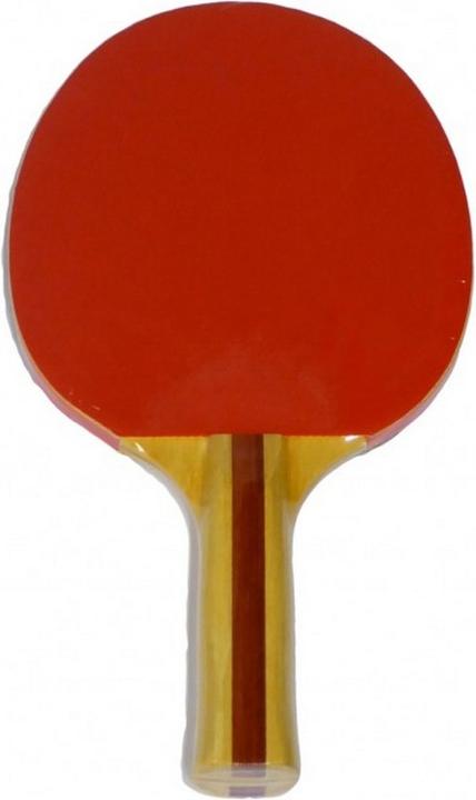 Actual product image Lion Reverse Table Tennis Racket 120