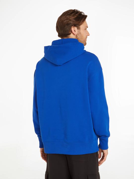 Image du produit Tommy Hilfiger Tommy Jeans Relaxed XS Badge - 60495 (XL)