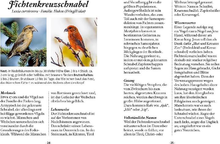 Produktbild Das kleine Buch: Singvögel (Deutsch, Klaus Kamolz, 2018)