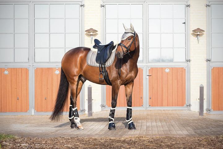 Produktbild Horse Guard MediLamb