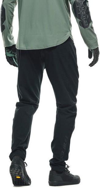 Actual product image Dainese Pant Dnse 22 Hgr Blk L (L)
