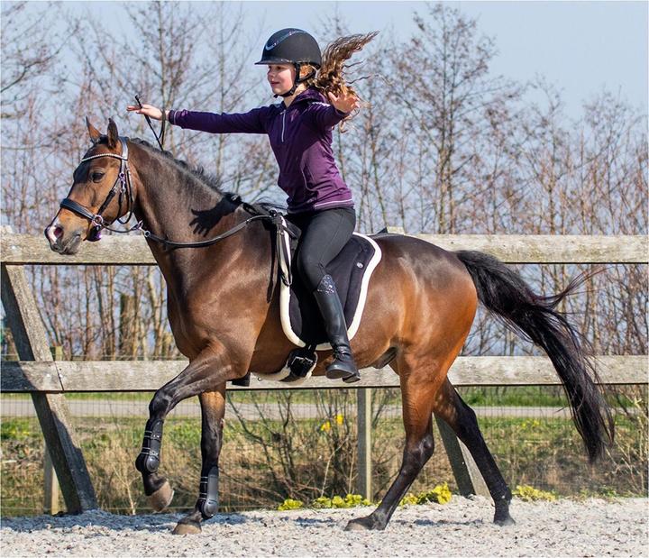 Image du produit Qhp Pad bareback