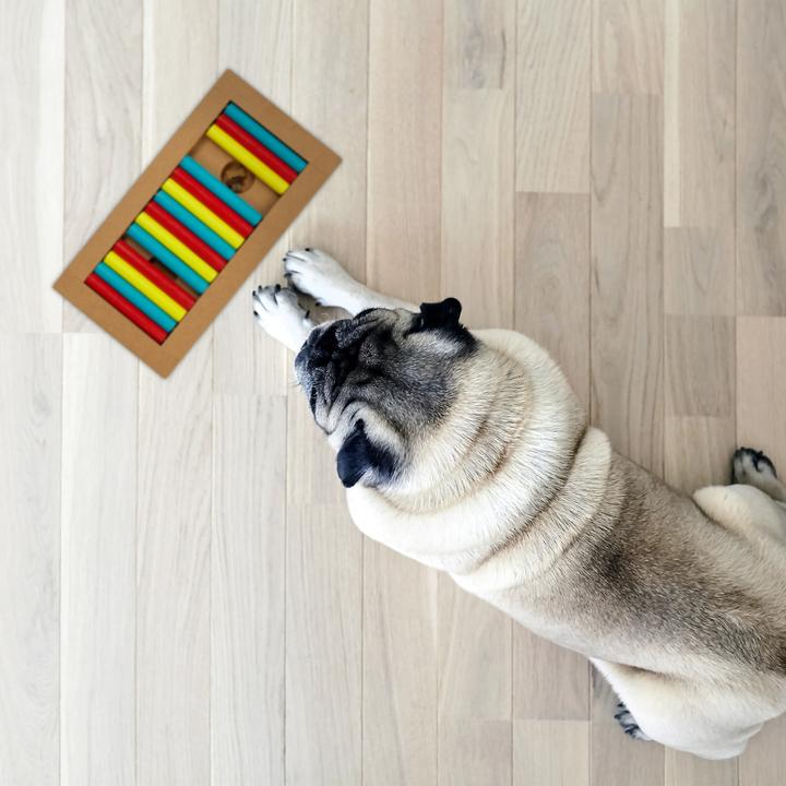Image du produit Relaxdays Jouets intelligents pour chiens (Jouet intelligent chien)