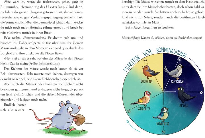 Productafbeelding Rabatz in der Burgruine - Eine Detektivgeschichte zum Mitraten (Miriam Mann, Duits)