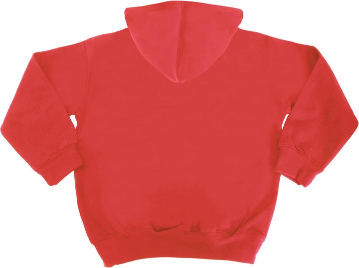 Produktbild Awdis Kapuzen Pullover Varsity (116)