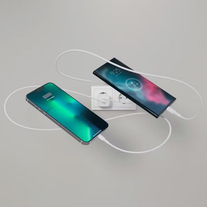 Actual product image Belkin Dual USB-C GaN Ladegerät mit Power Deliver und PPS Technologie inkl. 2 Meter USB-C Kabel (65 W, 2 ports)