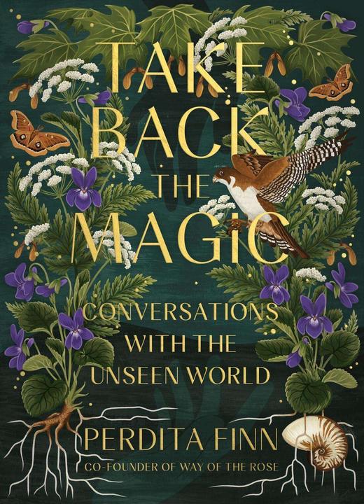 Produktbild Take Back the Magic (Englisch, Perdita Finn, 2023)