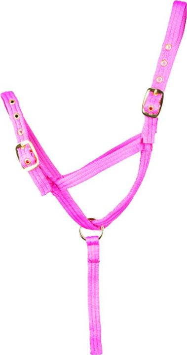 Produktbild Hy Schlupfleine und Halfter