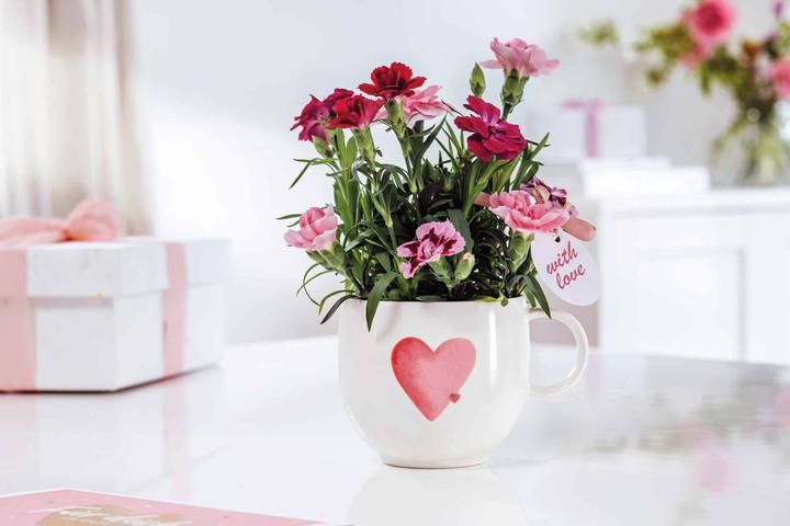 Produktbild Villeroy & Boch With Love Frühstücksset Sending Love (3 Stück)