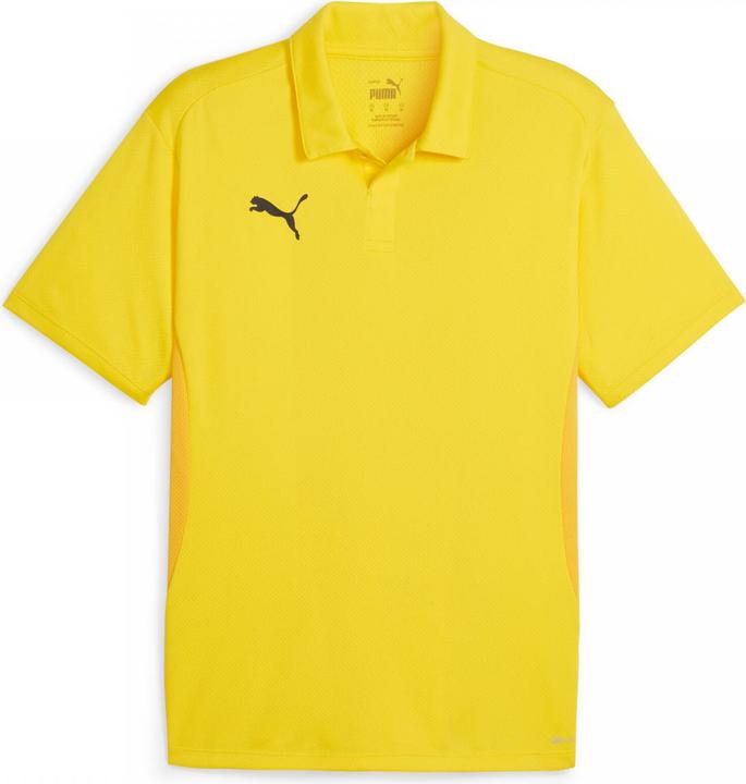 Actual product image Puma teamGOAL Polo (M)
