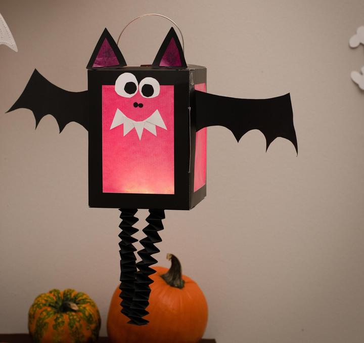 Actual product image Folia Lantern blanks