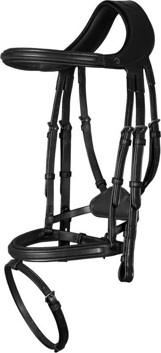 Image du produit Dy'on Bridon différence muserolle combinée