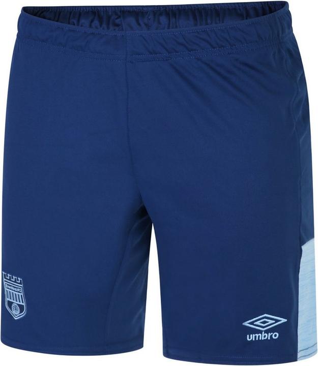 Actual product image Brentford FC 2224 Shorts
