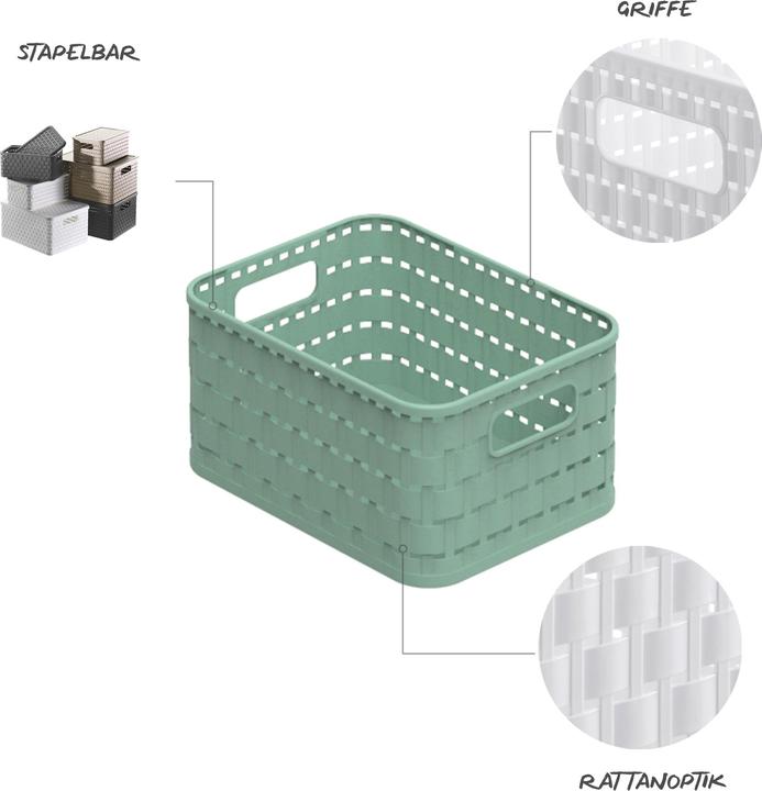 Actual product image Rotho Eco Country (1 x, 18 x 13.5 x 10 cm)