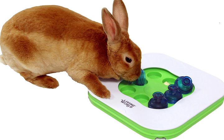Immagine prodotto Living World 3 In 1 Teach'N Treat - (530.0510)