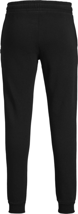 Actual product image Jack & Jones Gordon (XS)