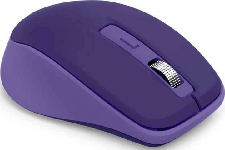 Actual product image Hama WM-450 (Wireless)