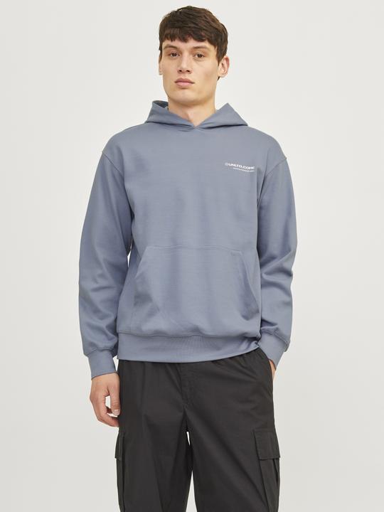 Image du produit Jack & Jones Jcoaero Print Sweat Hood Noos (S)