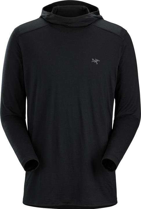 Immagine prodotto Arc'teryx Felpa con cappuccio Ionia (L)