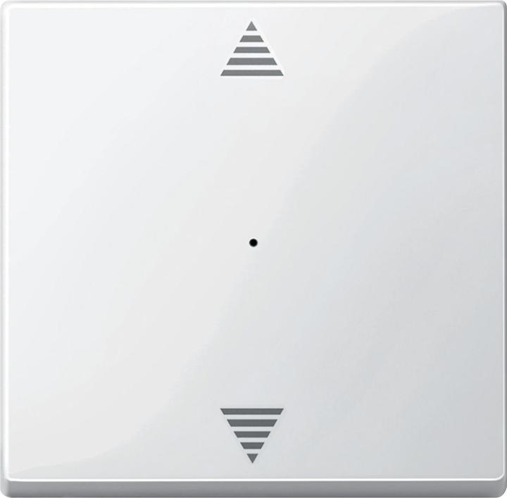 Produktbild Schneider Electric Wippe Tastermodul 1fach