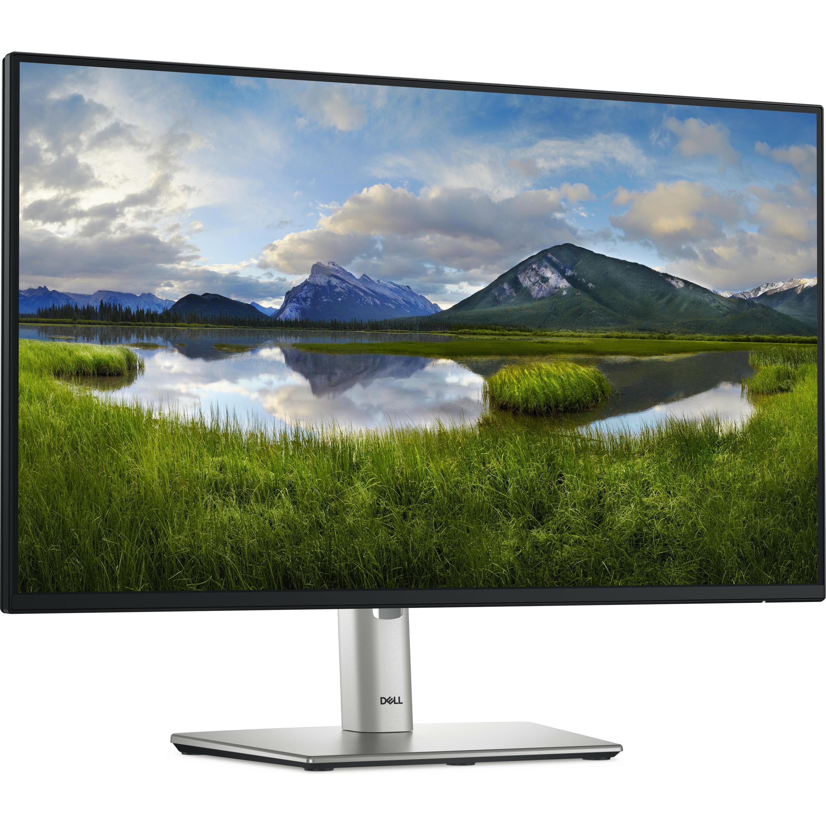 Thumbnail - Dell P2425HE (1920 x 1080 Pixel, 24"), Monitor, Schwarz