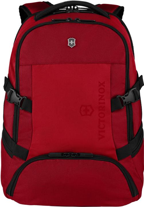 Rouge, Sauge écarlate