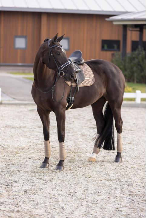 Immagine prodotto Imperial Riding Sky