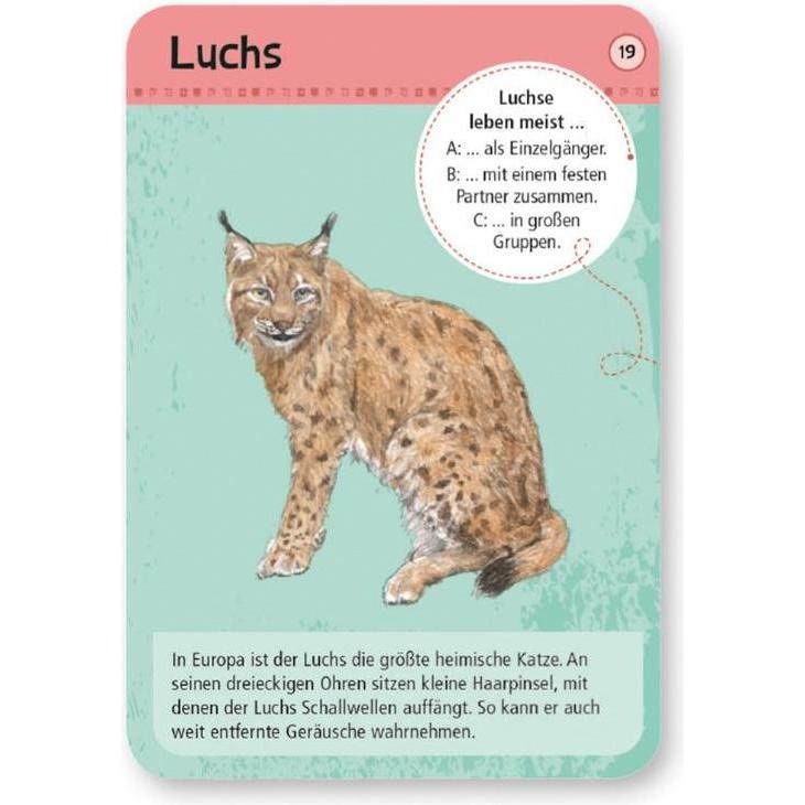 Thumbnail - pfister Moses (Deutsch)