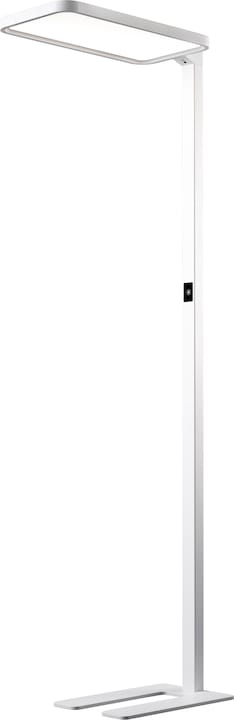 Hansa Floor lamp LED Saphir white (7500 lm)