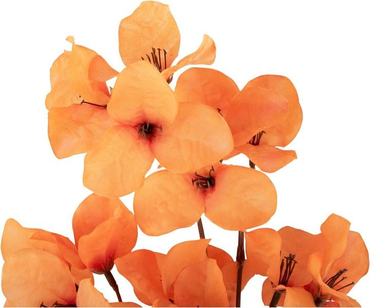 Actual product image present time Flower Stem