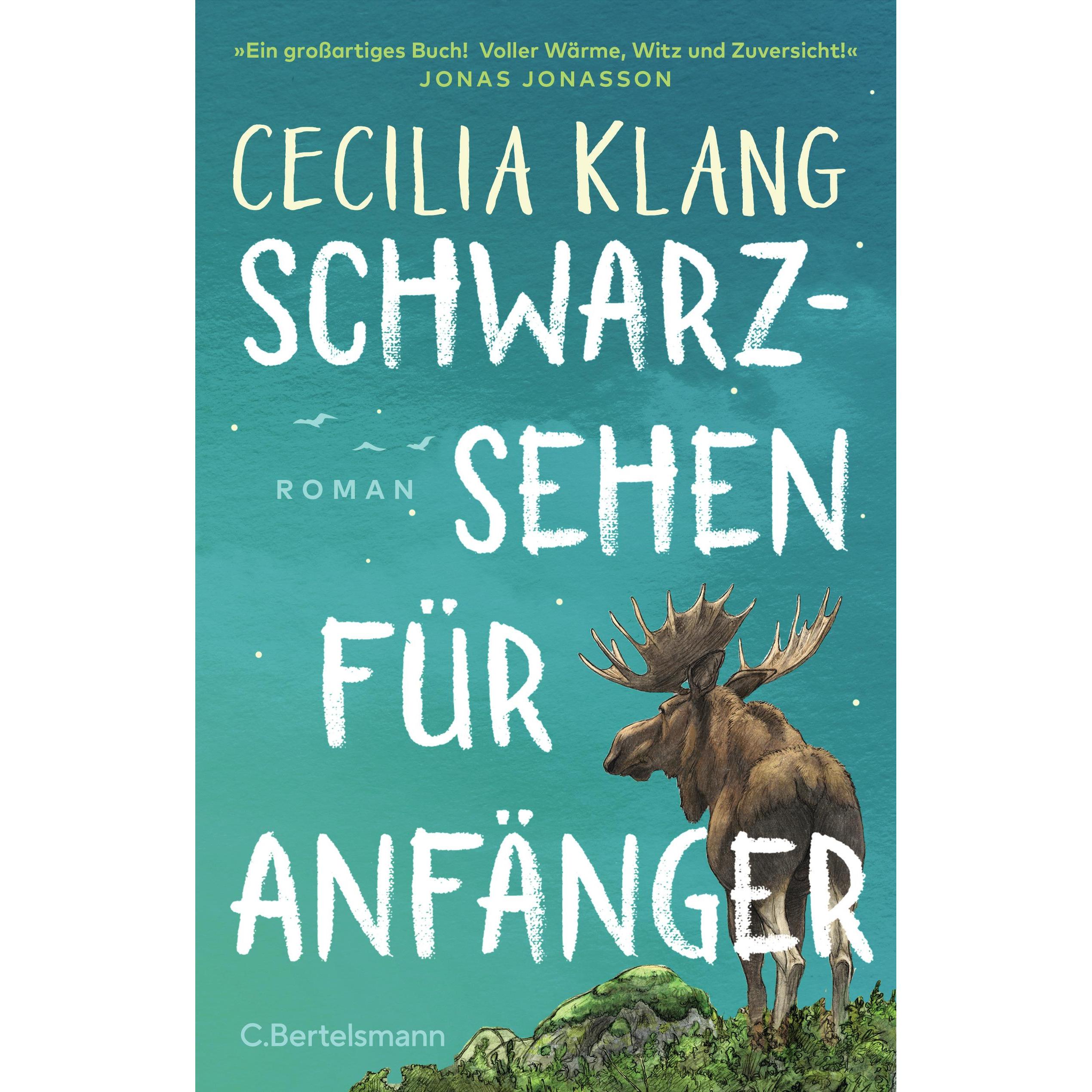 Schwarzsehen für Anfänger, Belletristik von Cecilia Klang