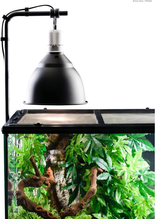 Actual product image Exo Terra Light Holder