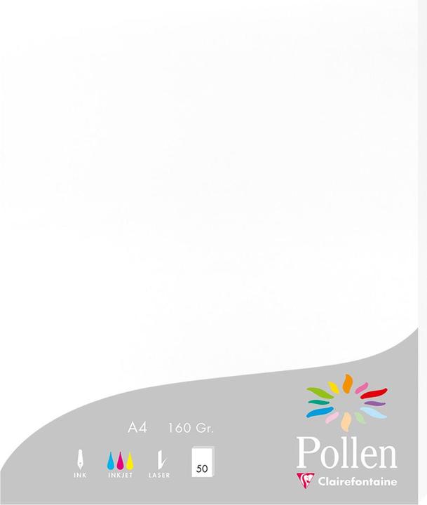 Produktbild Pollen Papier (160 g/m², A4)