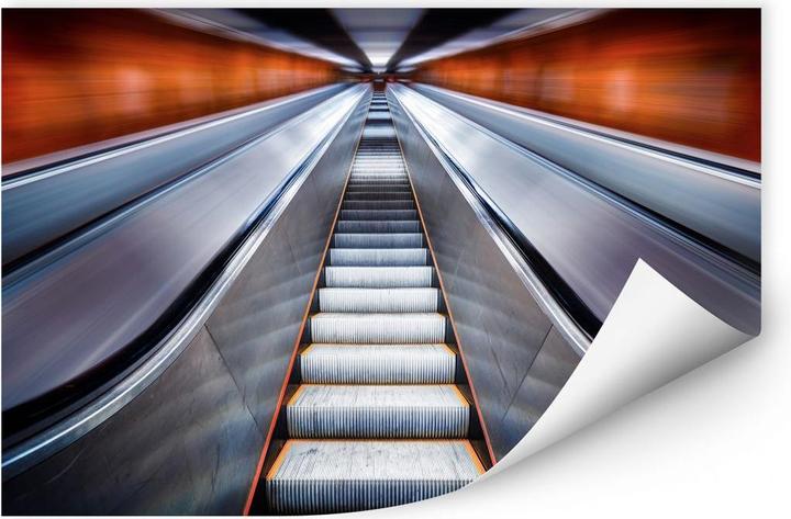 Immagine prodotto Trenddeko Kay PK - Escalatore (80 x 50 cm)