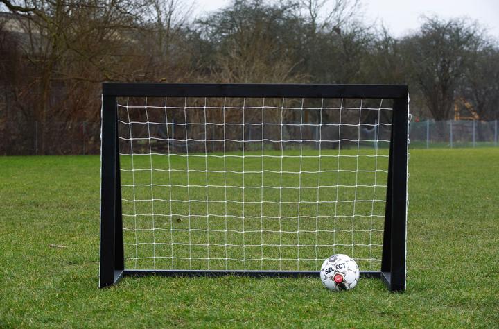 Produktbild Euro Play Homegoal Pro Mini - Sort