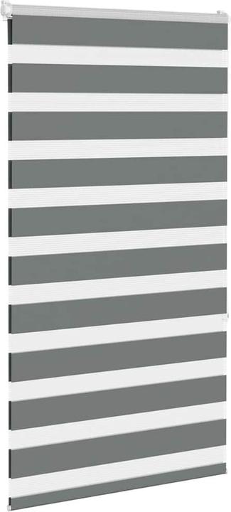 Produktbild vidaXL Zebra-Jalousie (90 x 150 cm)