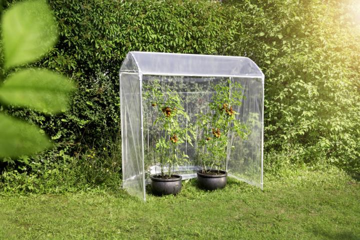 Actual product image Windhager Replacement film for tomato greenhouse