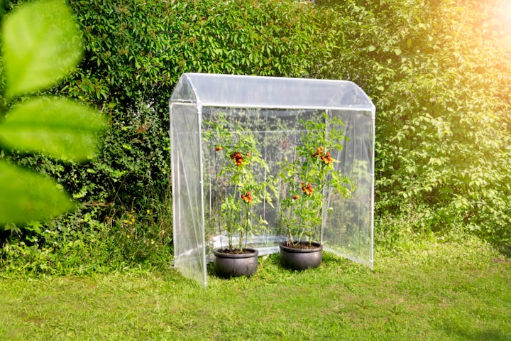 Image du produit Windhager Film de remplacement pour la serre de tomates