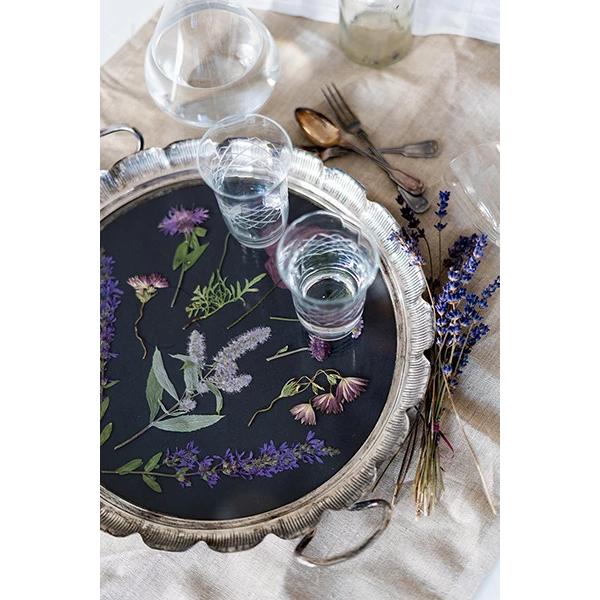 Thumbnail - Veilchen, Farn & Ringelblumen, Ratgeber von Kathrin Bender