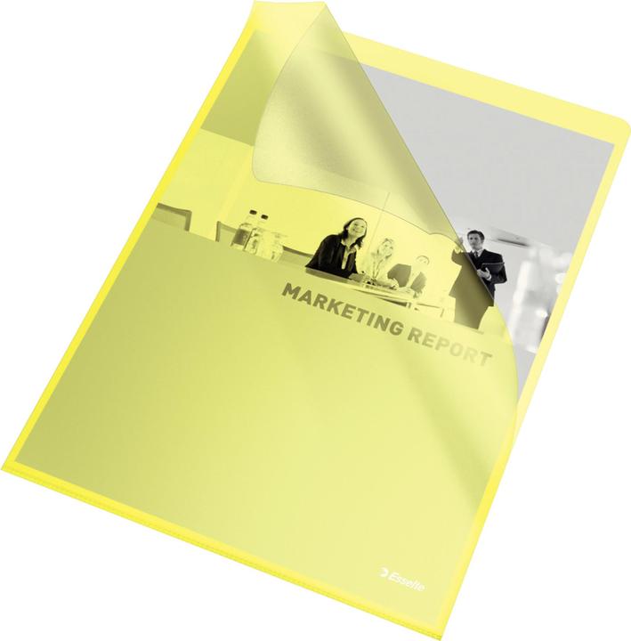 Actual product image Leitz Esselte (A4, 100 x)