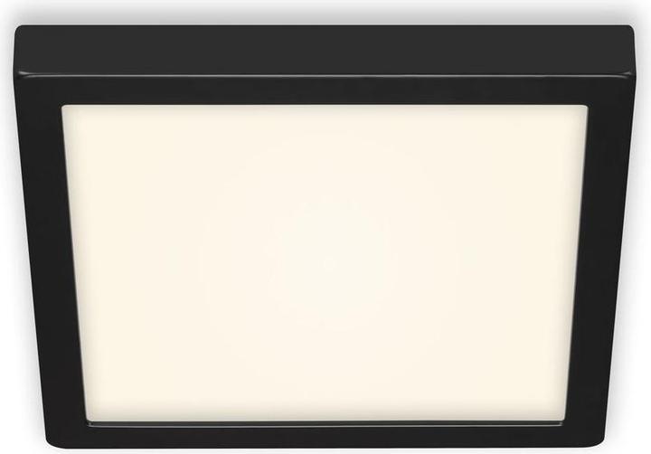 Actual product image Briloner Fire Black (2000 lm)