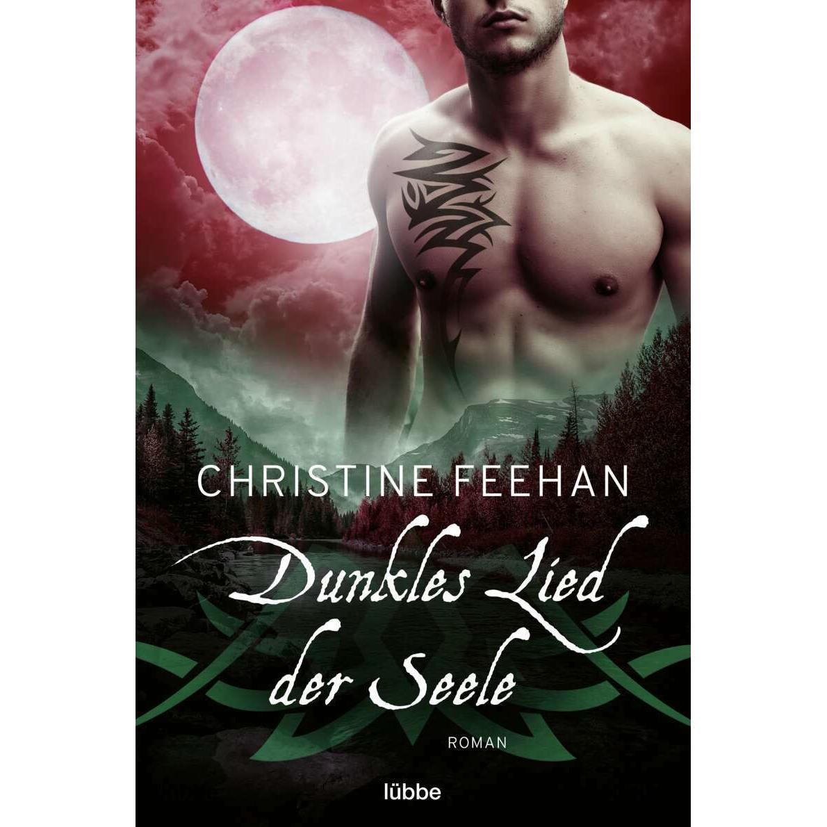 Dunkles Lied der Seele, Belletristik von Christine Feehan