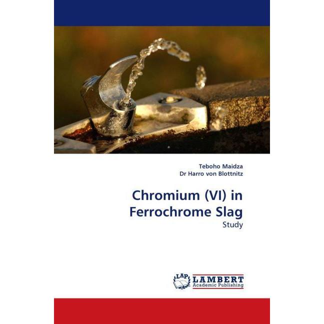 Chromium (VI) in Ferrochrome Slag, Fachbücher von Harro Von Blottnitz, Teboho Maidza