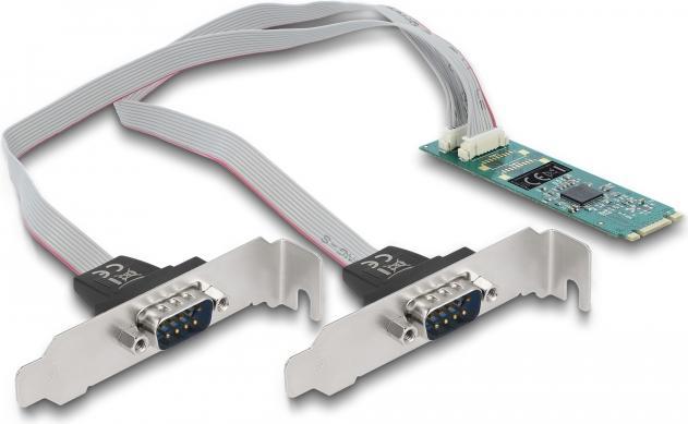 Actual product image Delock Serial adapter (0.30 m)